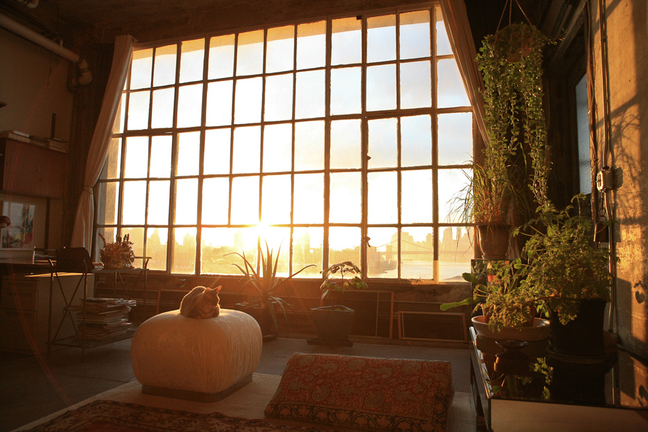 window-film-and-the-weather